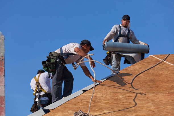 Best Shingle Roofing Installation  in Haslett, MI