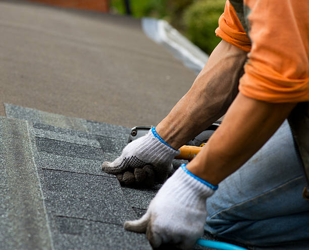 Best Roofing Contractor Near Me  in Haslett, MI