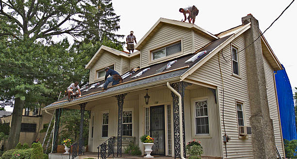 Best Roof Repair Services  in Haslett, MI